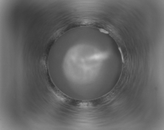 X0000071910415200607212047