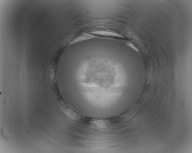 X0000071910417200607212047