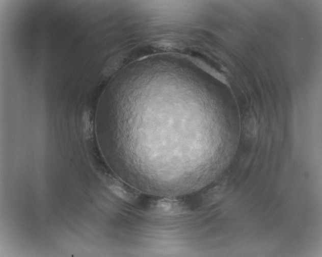 X0000071910420200607212047