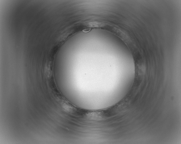 X0000071910422200607212047