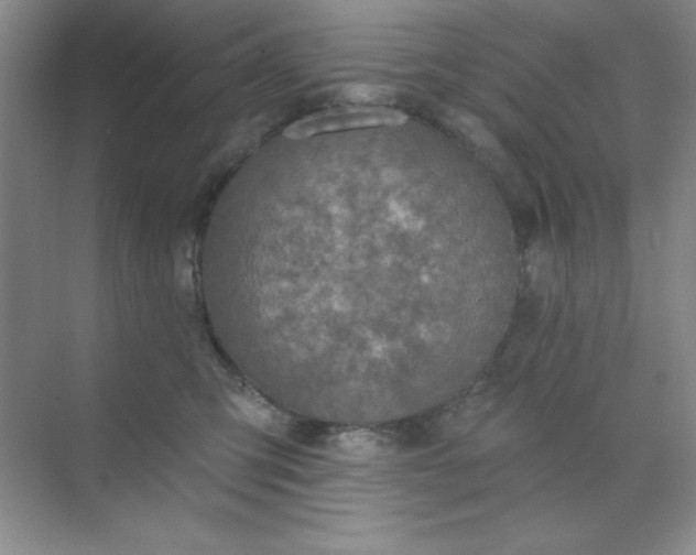 X0000071910423200607212047