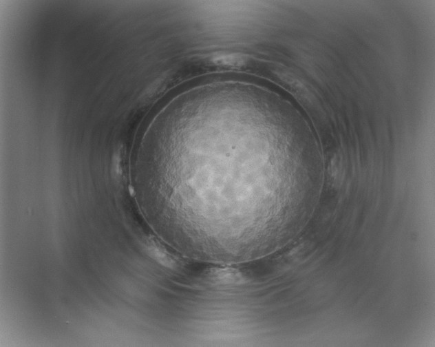 X0000071910424200607212047