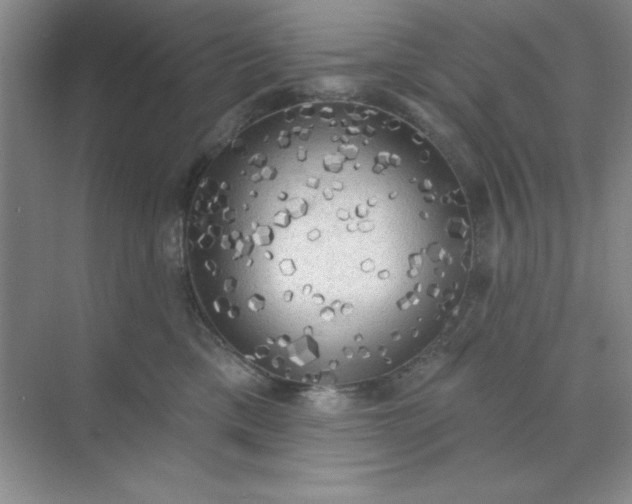 X0000071910425200607212047