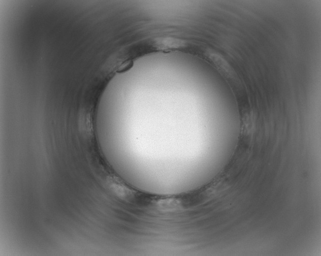 X0000071910426200607212047