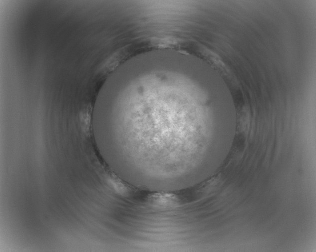 X0000071910427200607212047