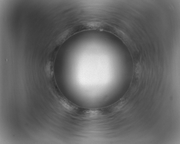 X0000071910428200607212047