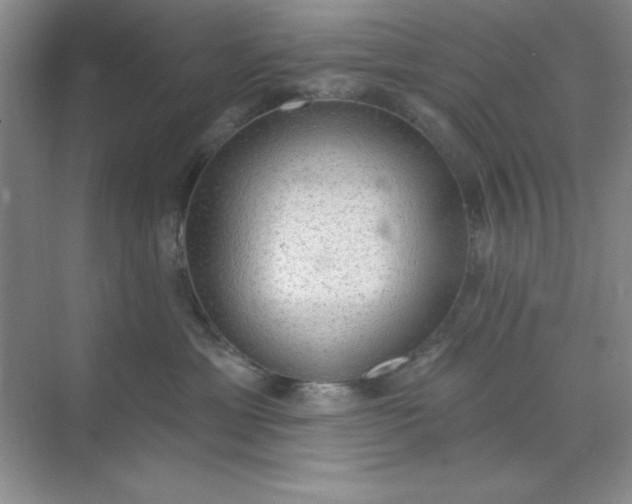 X0000071910429200607212047