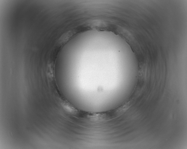 X0000071910430200607212047