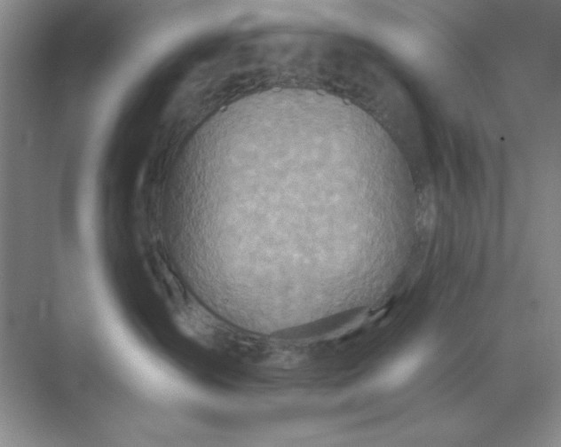 X0000071910431200607212047