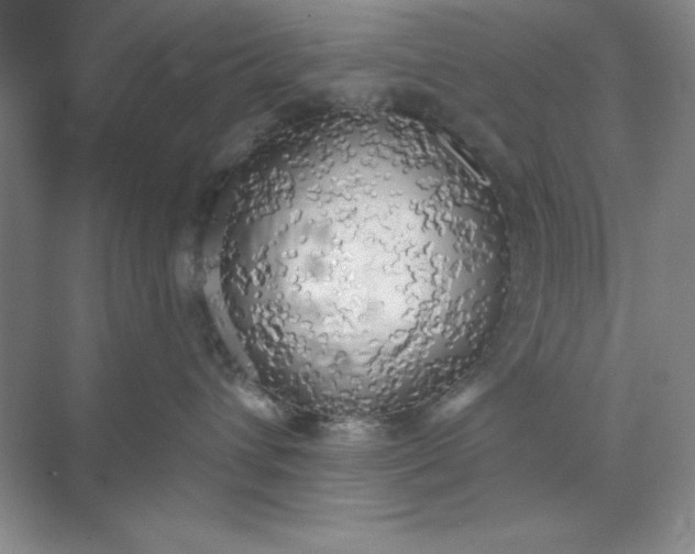 X0000071910432200607212047