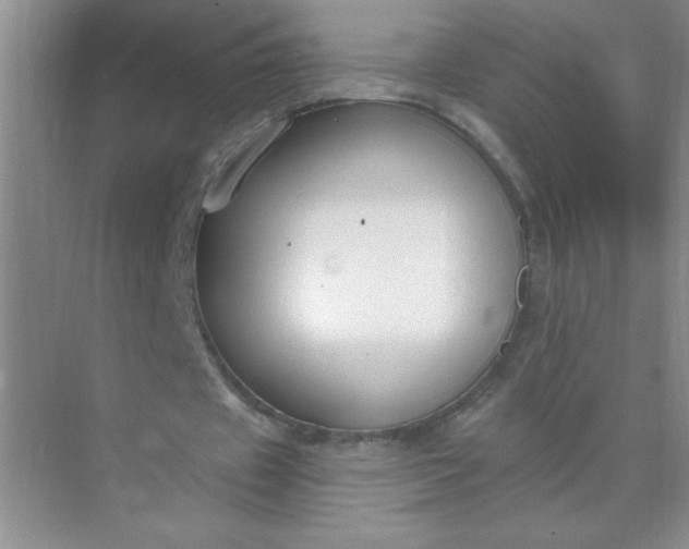 X0000071910433200607212046