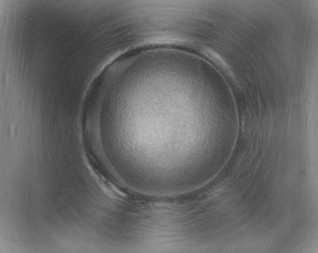 X0000071910436200607212046