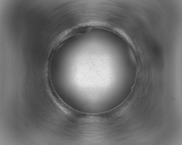 X0000071910437200607212046