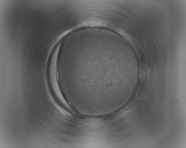 X0000071910438200607212046