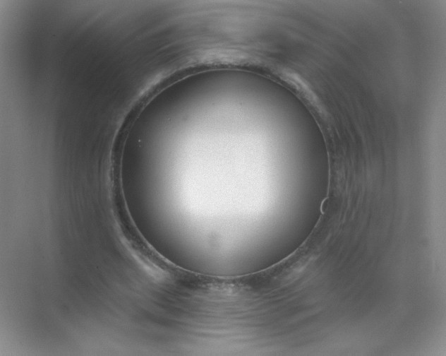 X0000071910439200607212046