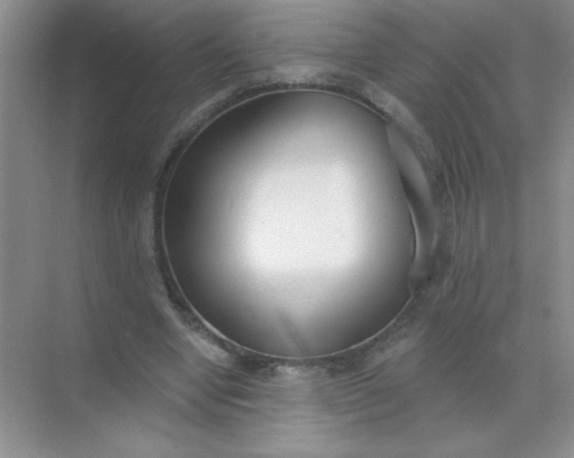 X0000071910442200607212046