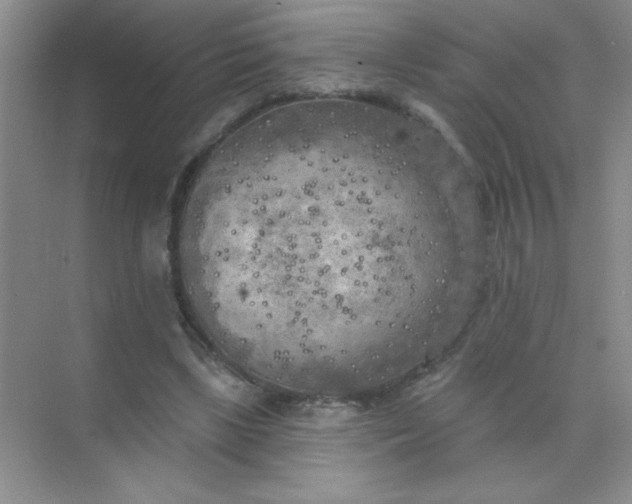 X0000071910443200607212046