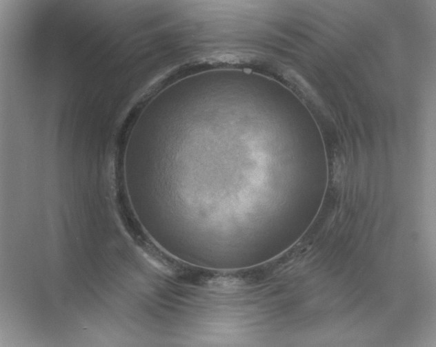 X0000071910444200607212046