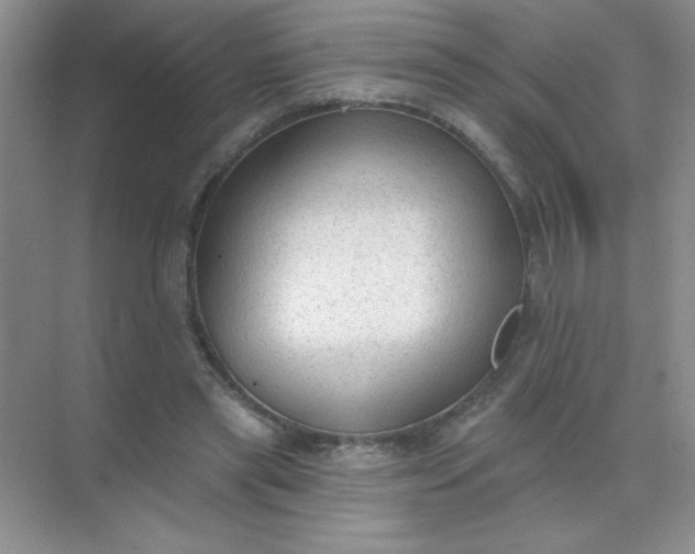 X0000071910445200607212046