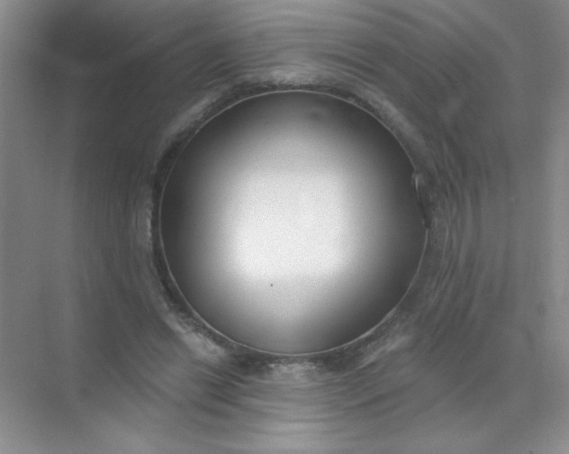 X0000071910446200607212046