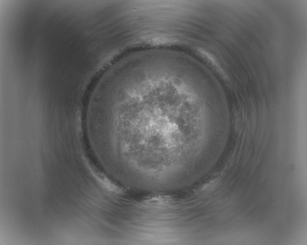 X0000071910447200607212046