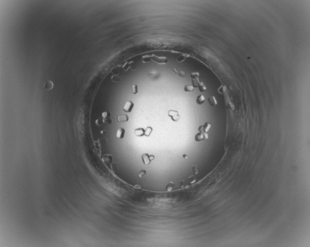 X0000071910448200607212046