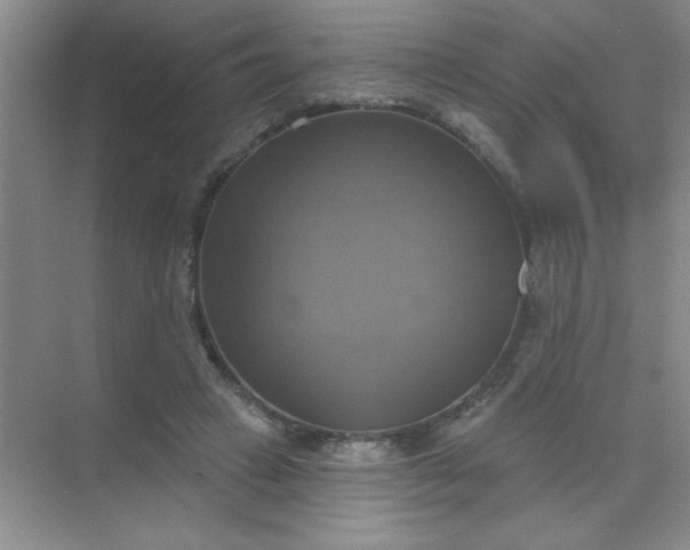 X0000071910449200607212046