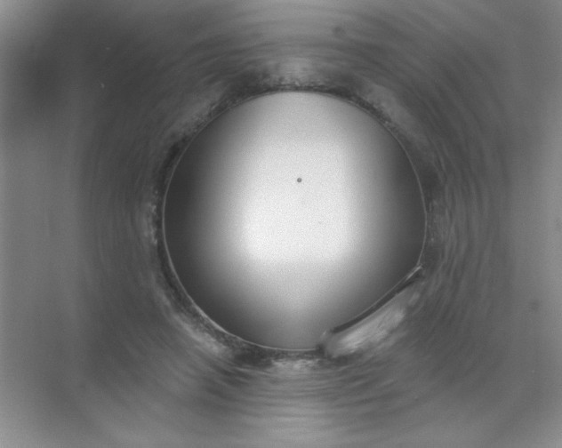 X0000071910450200607212046