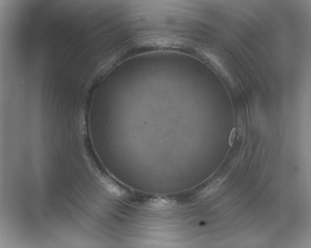 X0000071910453200607212046