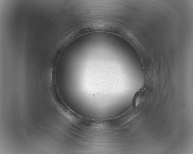 X0000071910454200607212046