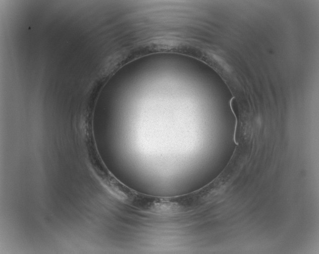 X0000071910455200607212046