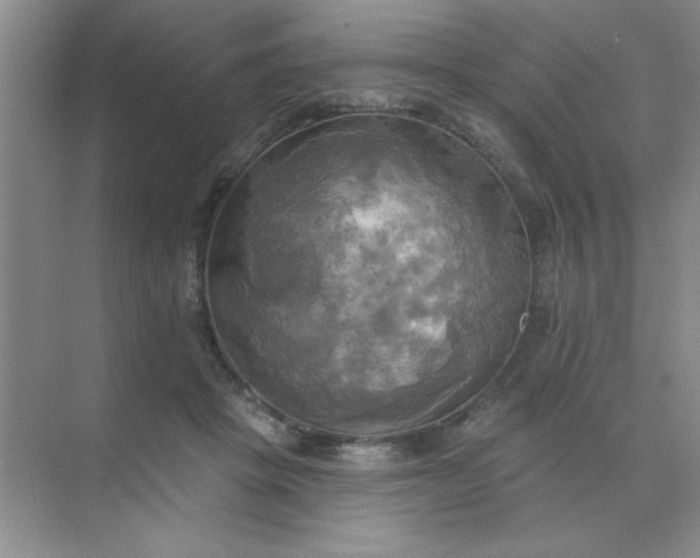 X0000071910457200607212047