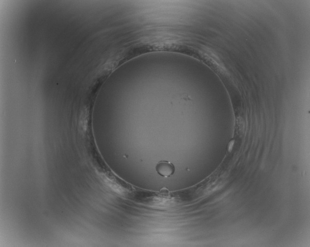 X0000071910458200607212047