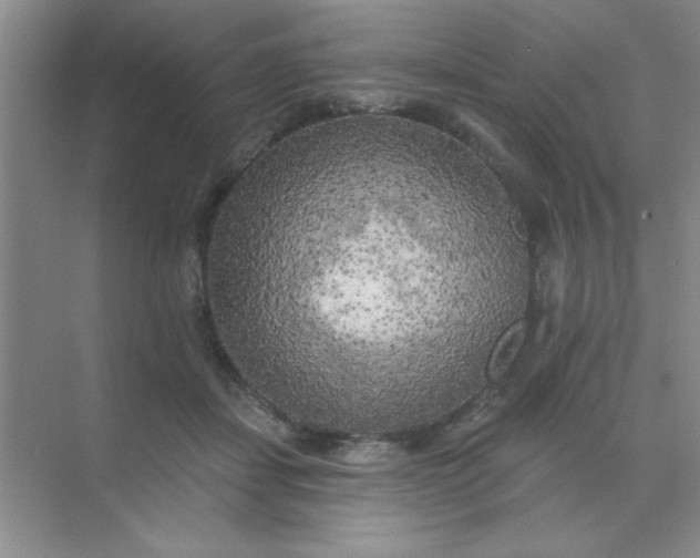 X0000071910459200607212047