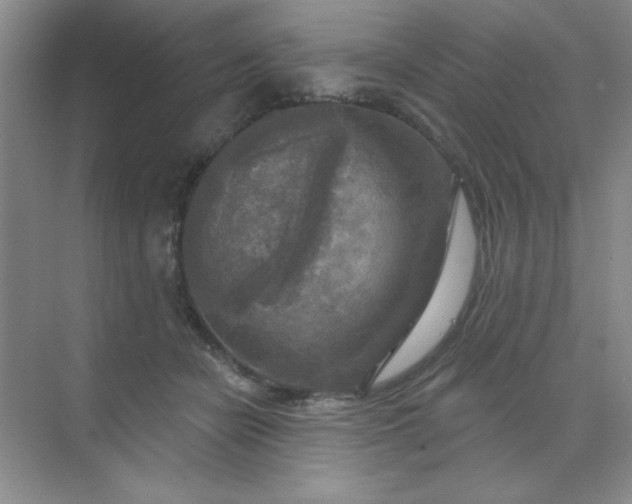 X0000071910462200607212047