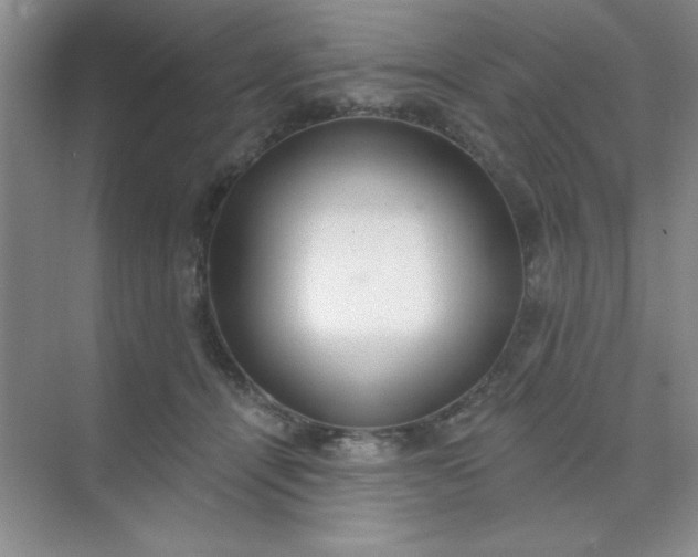 X0000071910464200607212047