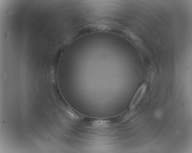 X0000071910465200607212047