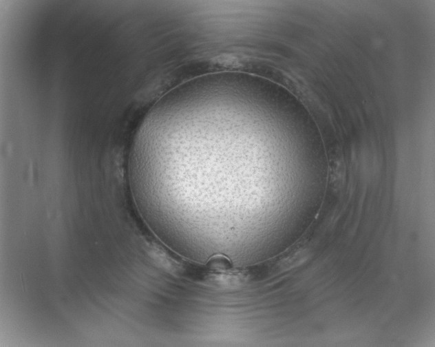 X0000071910466200607212047