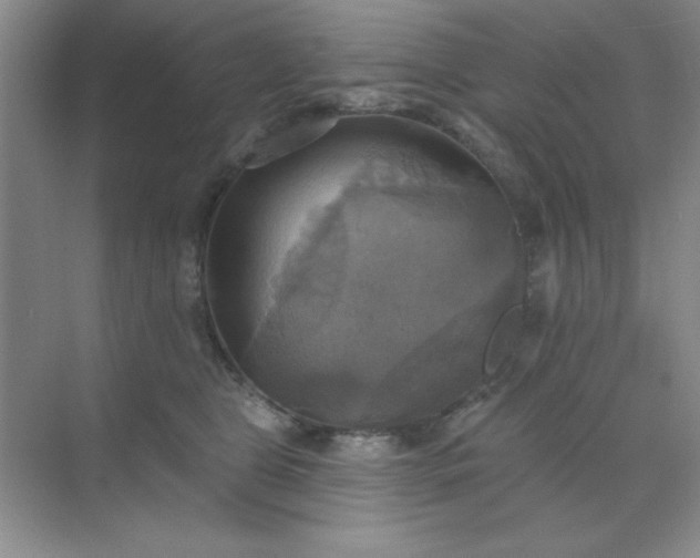 X0000071910469200607212047