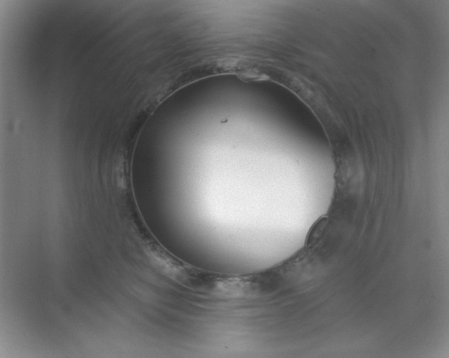 X0000071910470200607212047