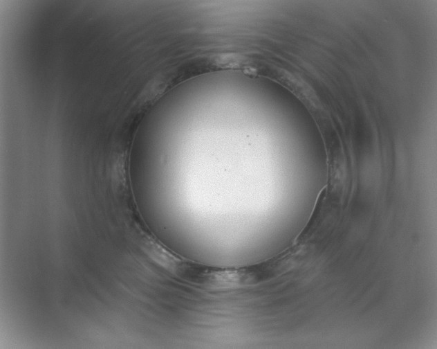 X0000071910473200607212047