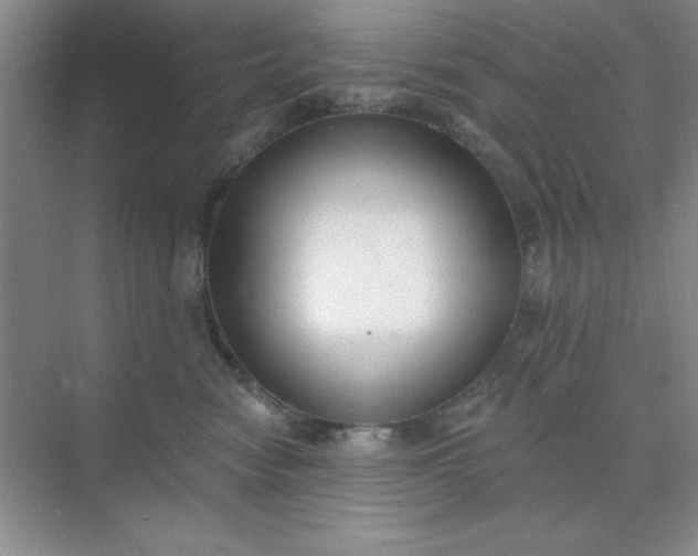 X0000071910474200607212047