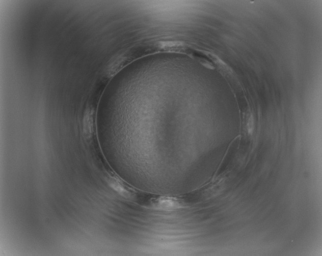 X0000071910475200607212047