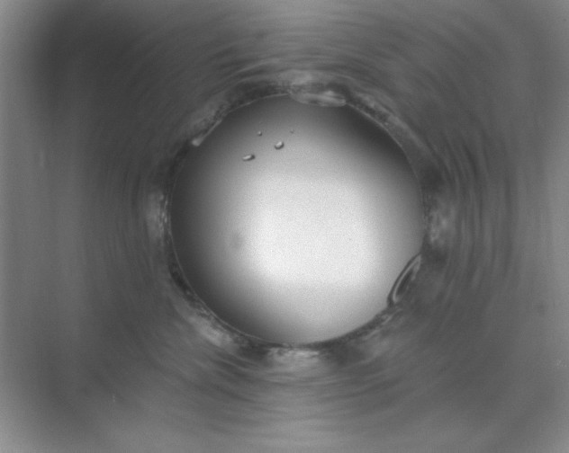 X0000071910476200607212047