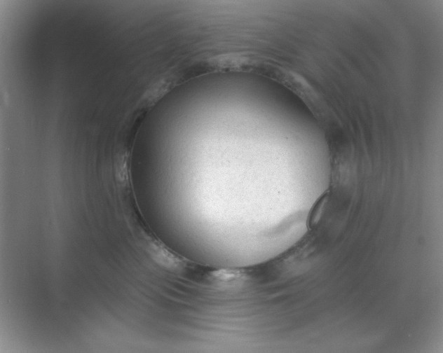 X0000071910477200607212047