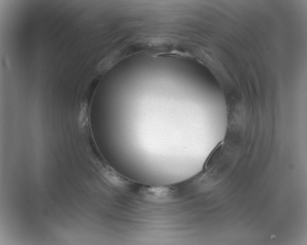 X0000071910478200607212047