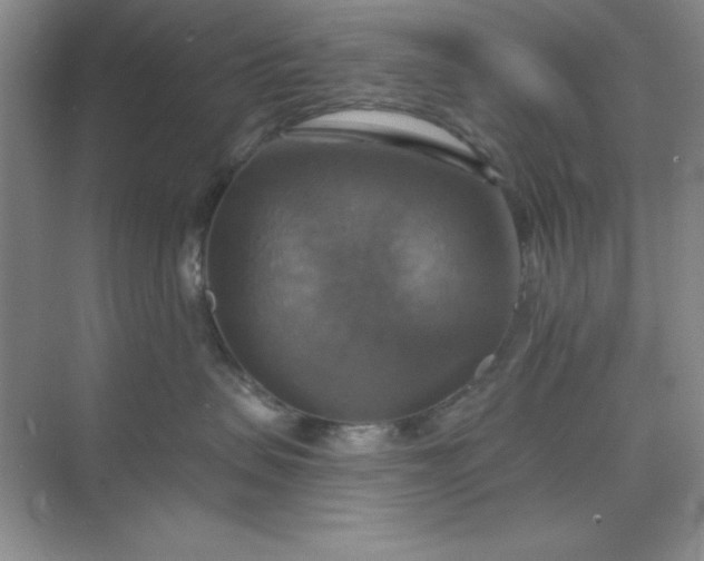 X0000071910479200607212047