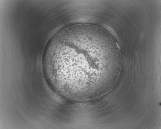 X0000071910482200607212046