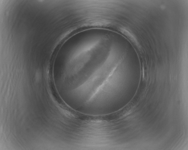 X0000071910483200607212046