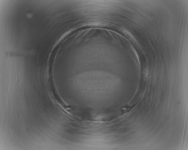 X0000071910484200607212046